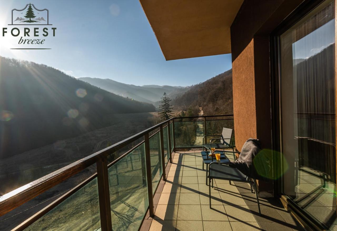 בראשוב Forest Breeze Apartterrace מראה חיצוני תמונה