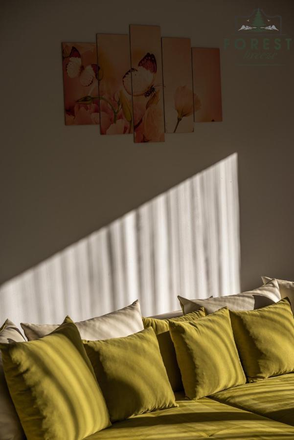 בראשוב Forest Breeze Apartterrace מראה חיצוני תמונה