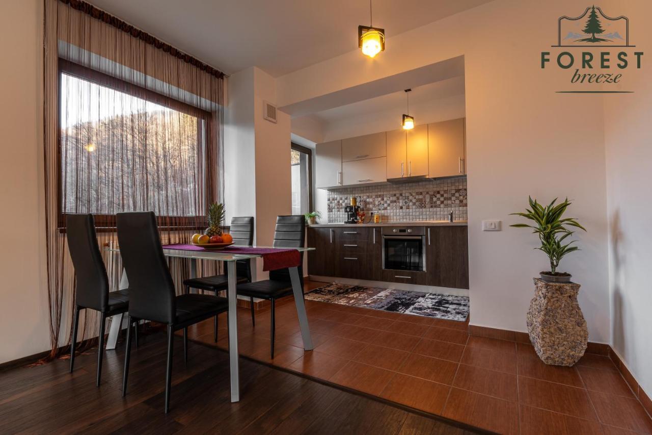 בראשוב Forest Breeze Apartterrace מראה חיצוני תמונה