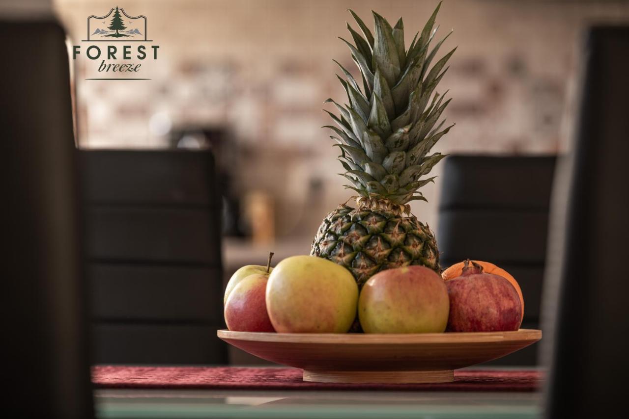 בראשוב Forest Breeze Apartterrace מראה חיצוני תמונה