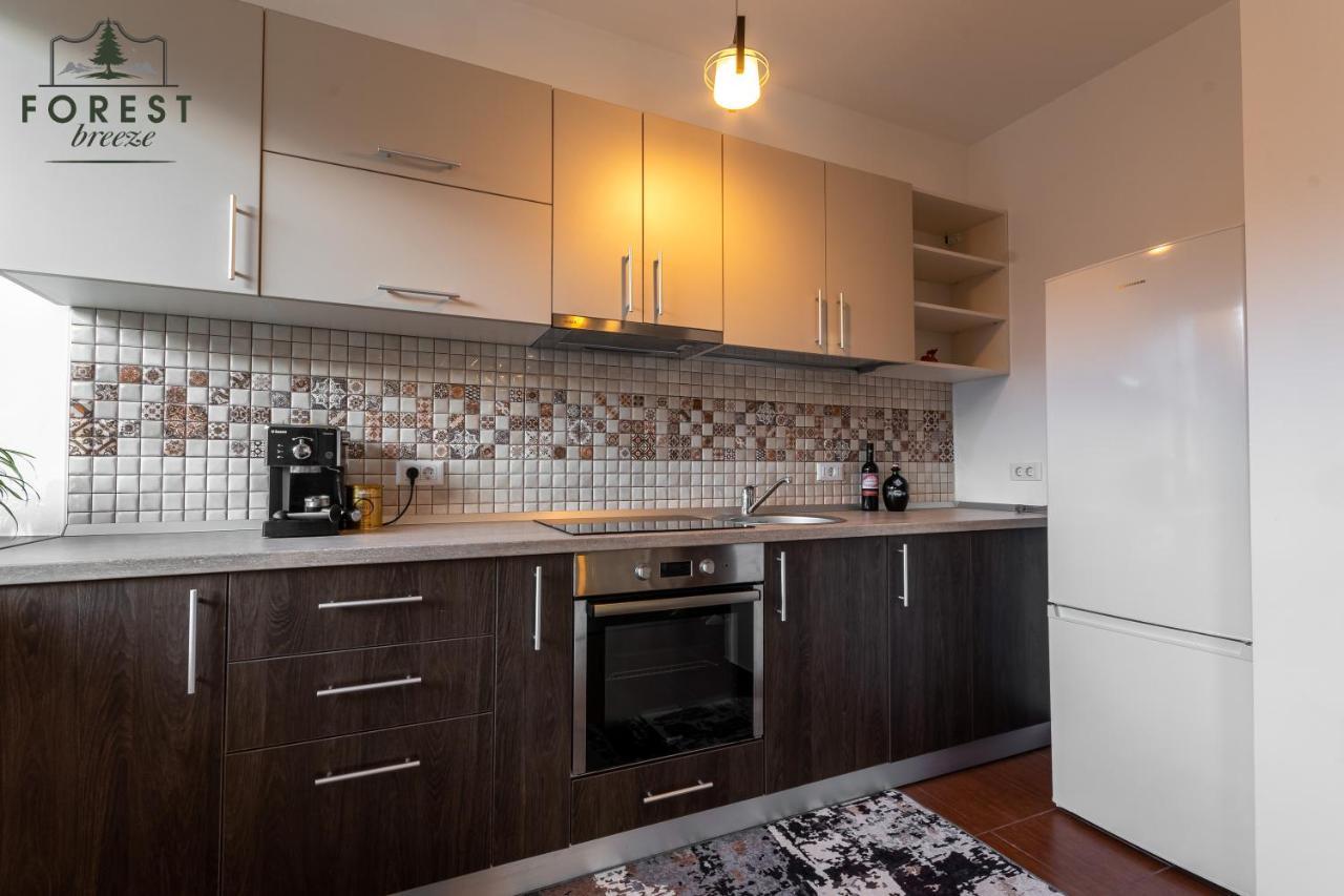 בראשוב Forest Breeze Apartterrace מראה חיצוני תמונה