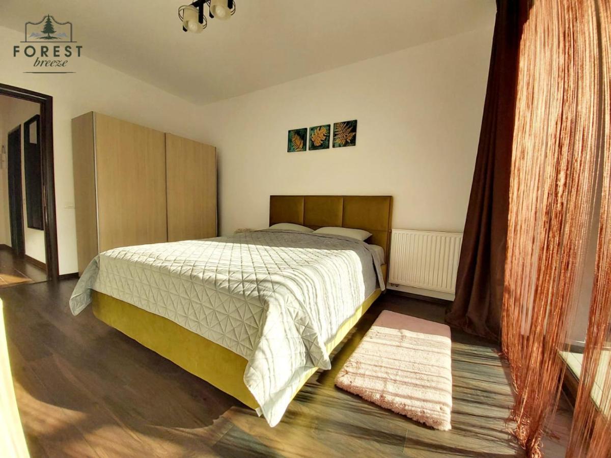 בראשוב Forest Breeze Apartterrace מראה חיצוני תמונה