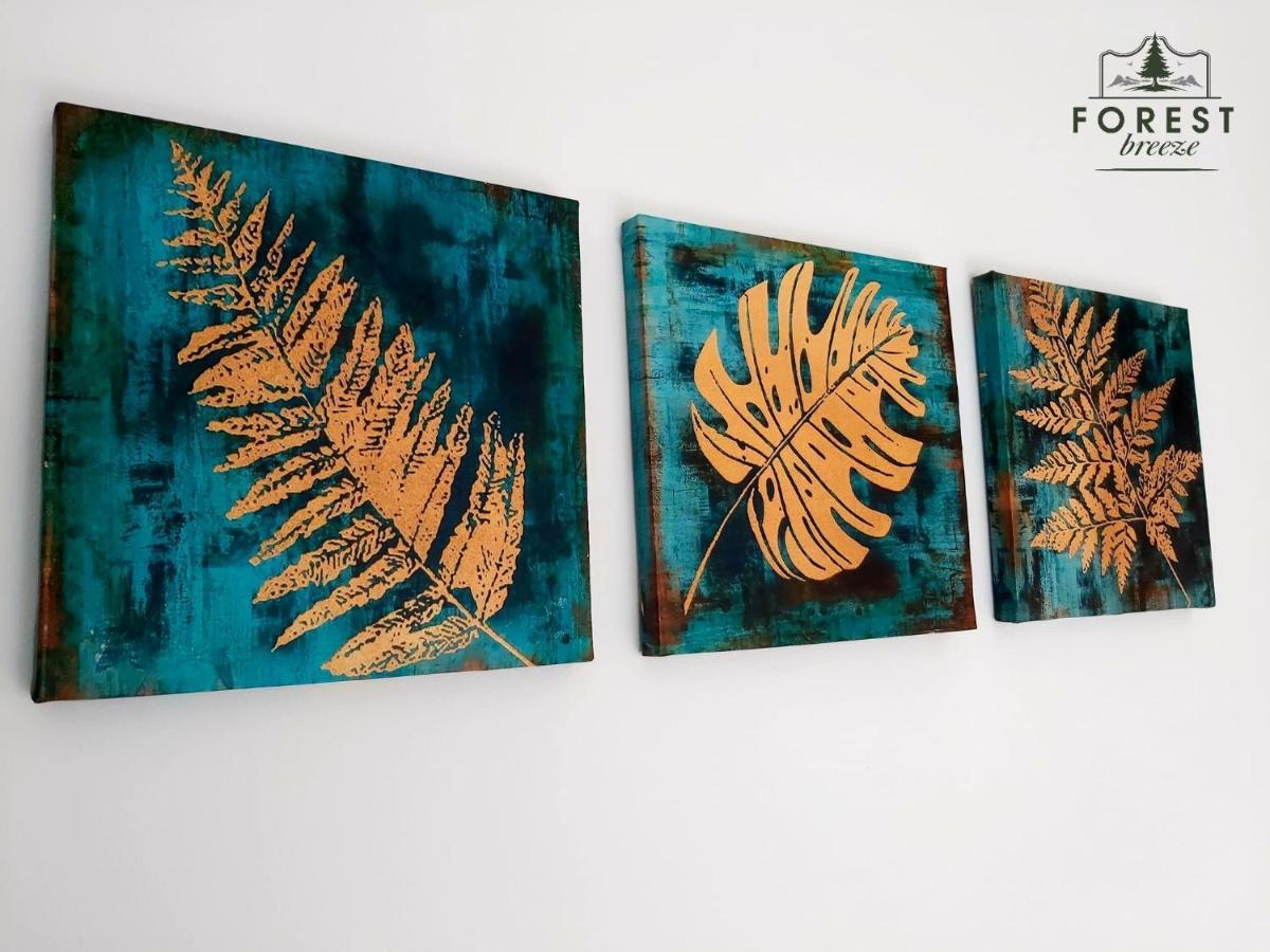בראשוב Forest Breeze Apartterrace מראה חיצוני תמונה