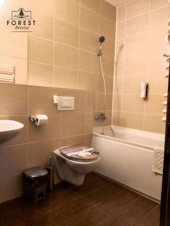 בראשוב Forest Breeze Apartterrace מראה חיצוני תמונה