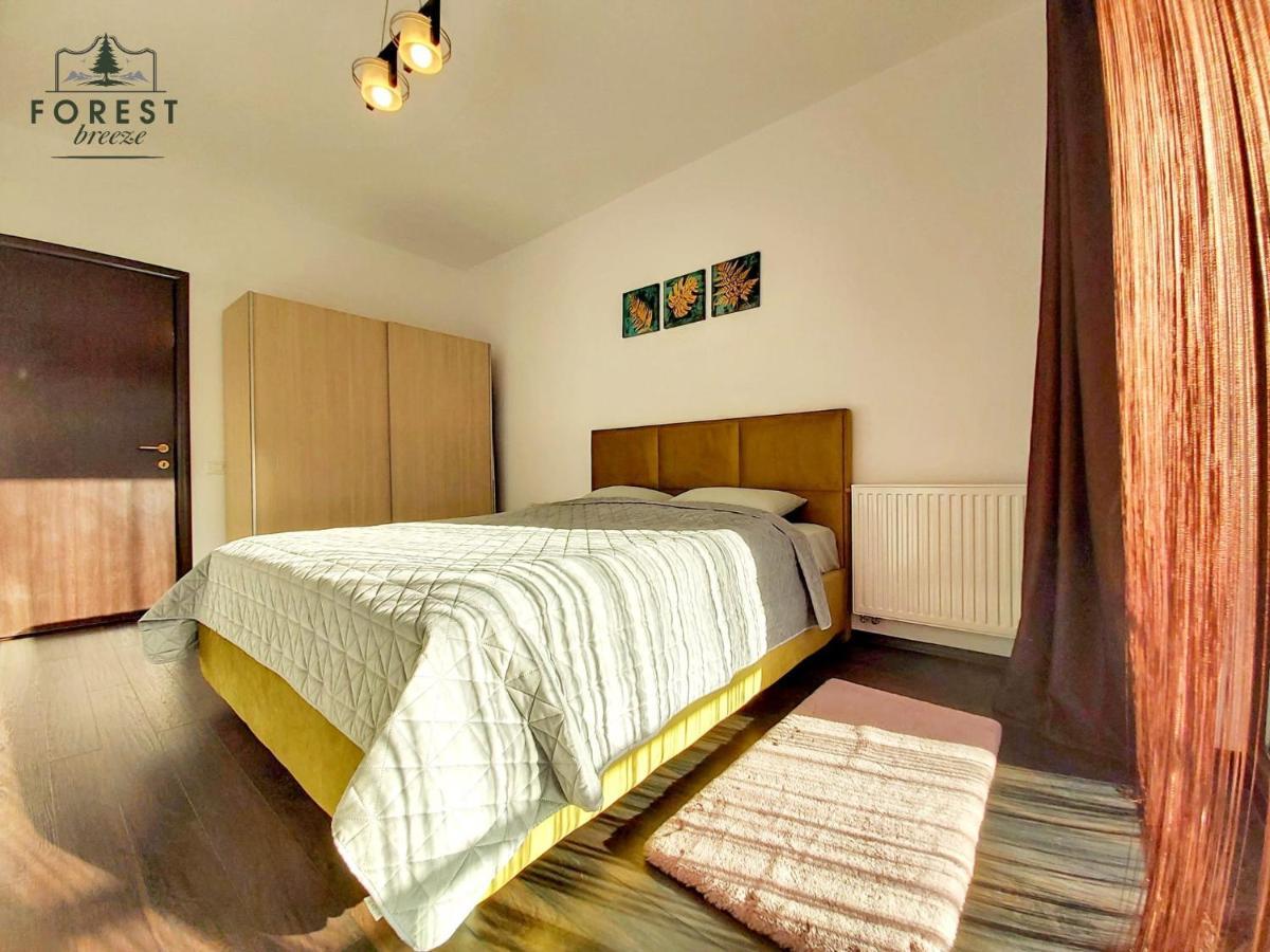 בראשוב Forest Breeze Apartterrace מראה חיצוני תמונה
