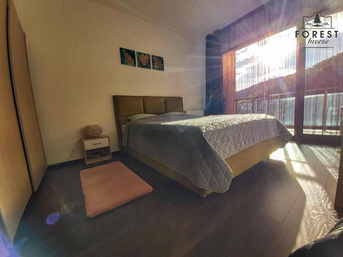 בראשוב Forest Breeze Apartterrace מראה חיצוני תמונה