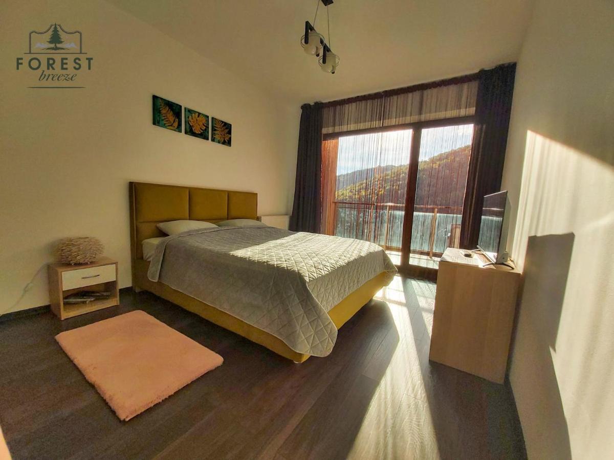 בראשוב Forest Breeze Apartterrace מראה חיצוני תמונה